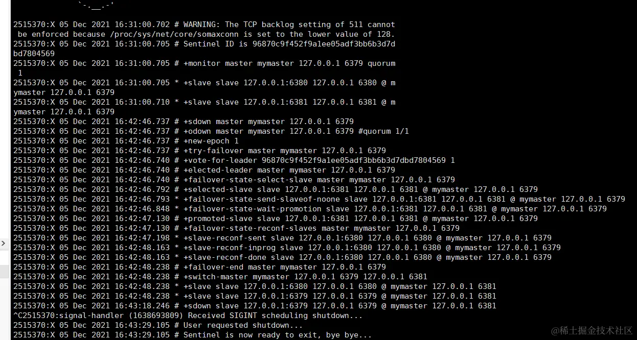 image-20211205184132413