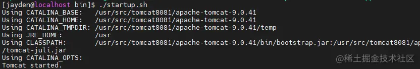 image-20210202124401684