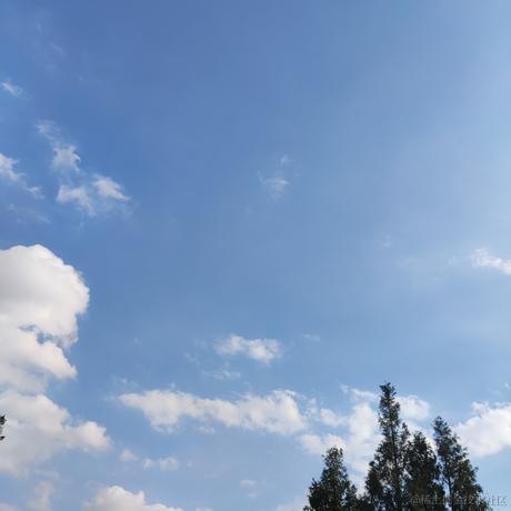 朝露易晞于2023-10-22 15:02发布的图片