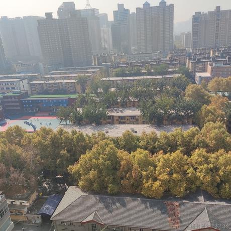 蓝冠青鸟于2022-11-15 11:45发布的图片