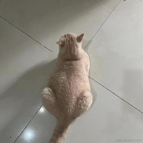 ByteFlow于2023-10-07 09:54发布的图片