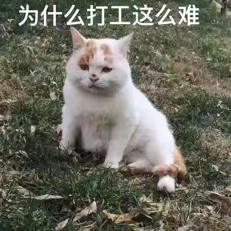 近战仙师于2022-09-30 11:05发布的图片