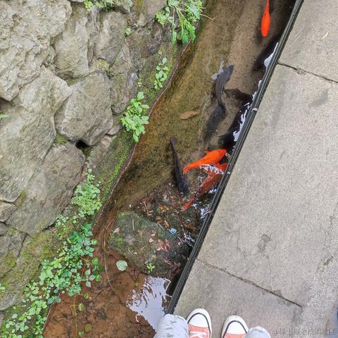 可乐真好吃于2021-07-27 08:51发布的图片