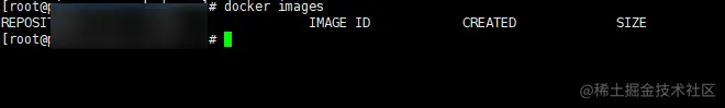 image-20220313163055030
