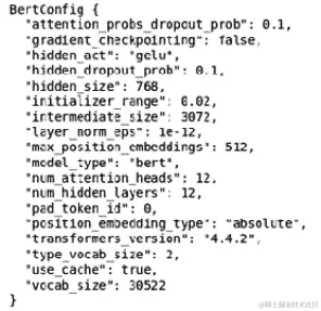 图 3.6 – BERT 模型配置