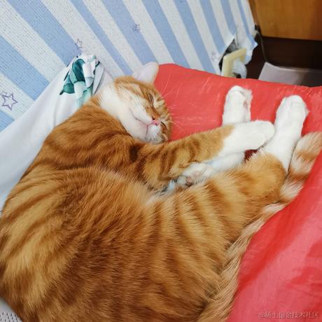 柒弎于2022-11-12 22:41发布的图片