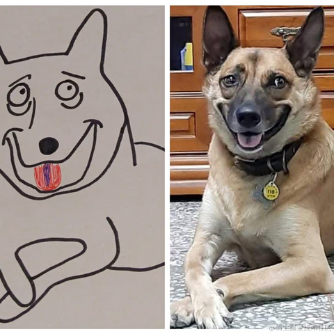 红毛丹于2022-01-28 22:03发布的图片