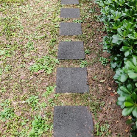 蓬蒿烂人于2022-11-23 09:57发布的图片