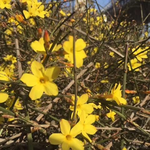 我是一只鱼吖于2023-03-14 09:34发布的图片