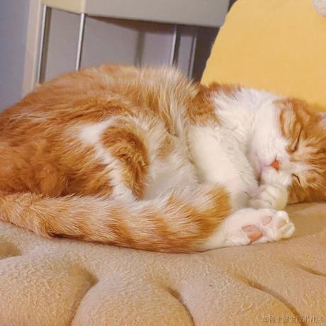 囧史密斯于2022-11-09 12:52发布的图片