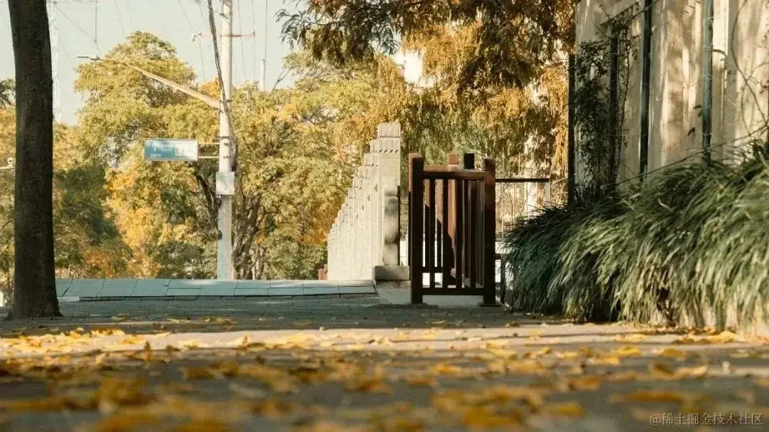 image-20240225210139838