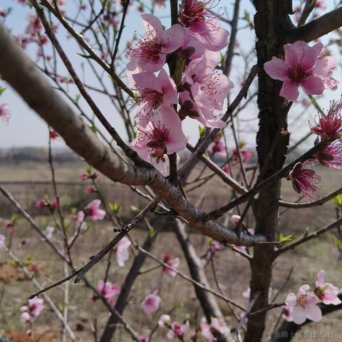 margin_100px于2023-03-13 16:06发布的图片