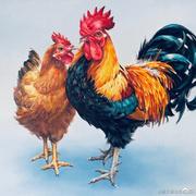 jasper2021的个人资料头像