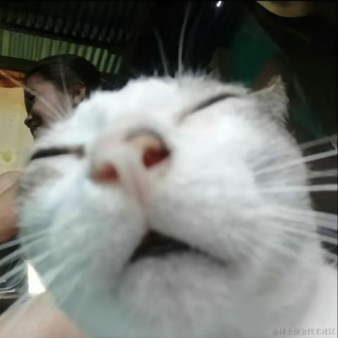 客怎眠于2024-06-19 11:47发布的图片