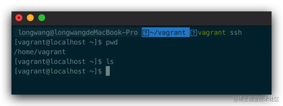 image-20210117213845526