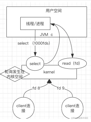 image-20210407113252935