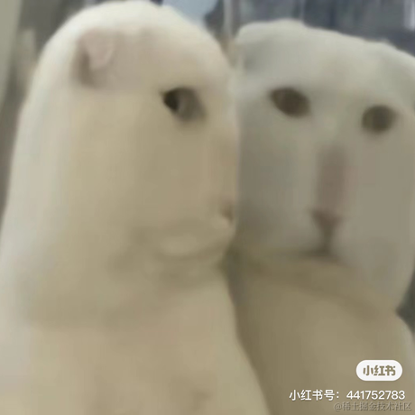 婉婉啊于2023-06-06 14:27发布的图片
