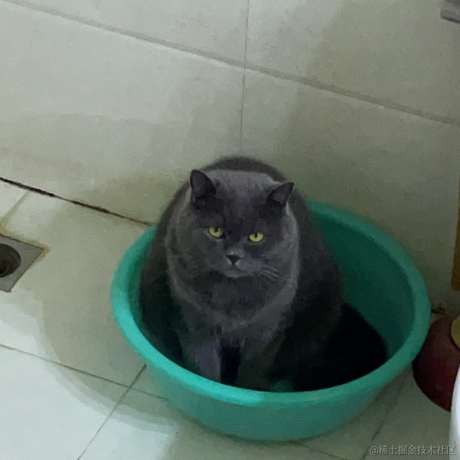 DD_于2023-05-31 17:34发布的图片