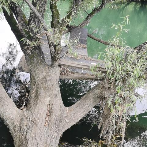 已注销于2021-08-11 18:11发布的图片