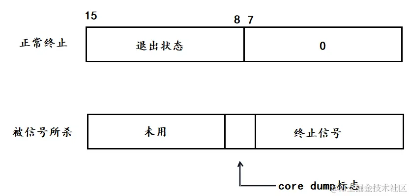 image-20240211005554252