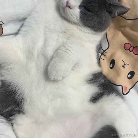 吃个鱼于2023-02-13 13:38发布的图片