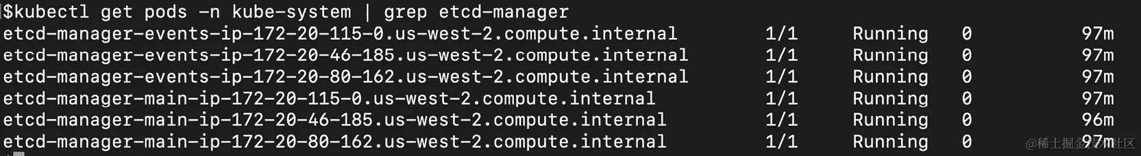 图 18.3：获取 etcd-manager pods 的列表