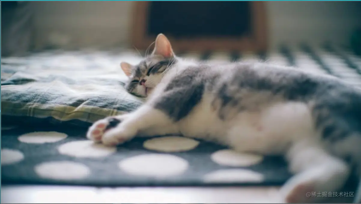 image-20200810131445377