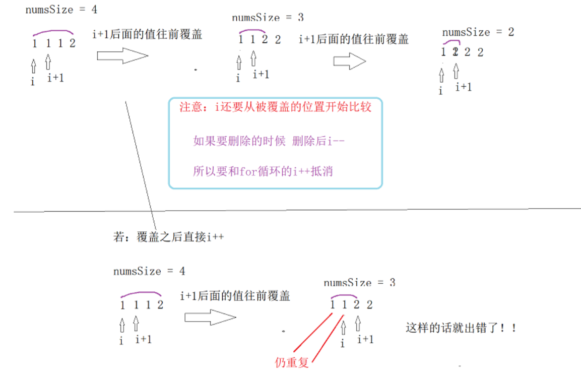 image-20220209215424271