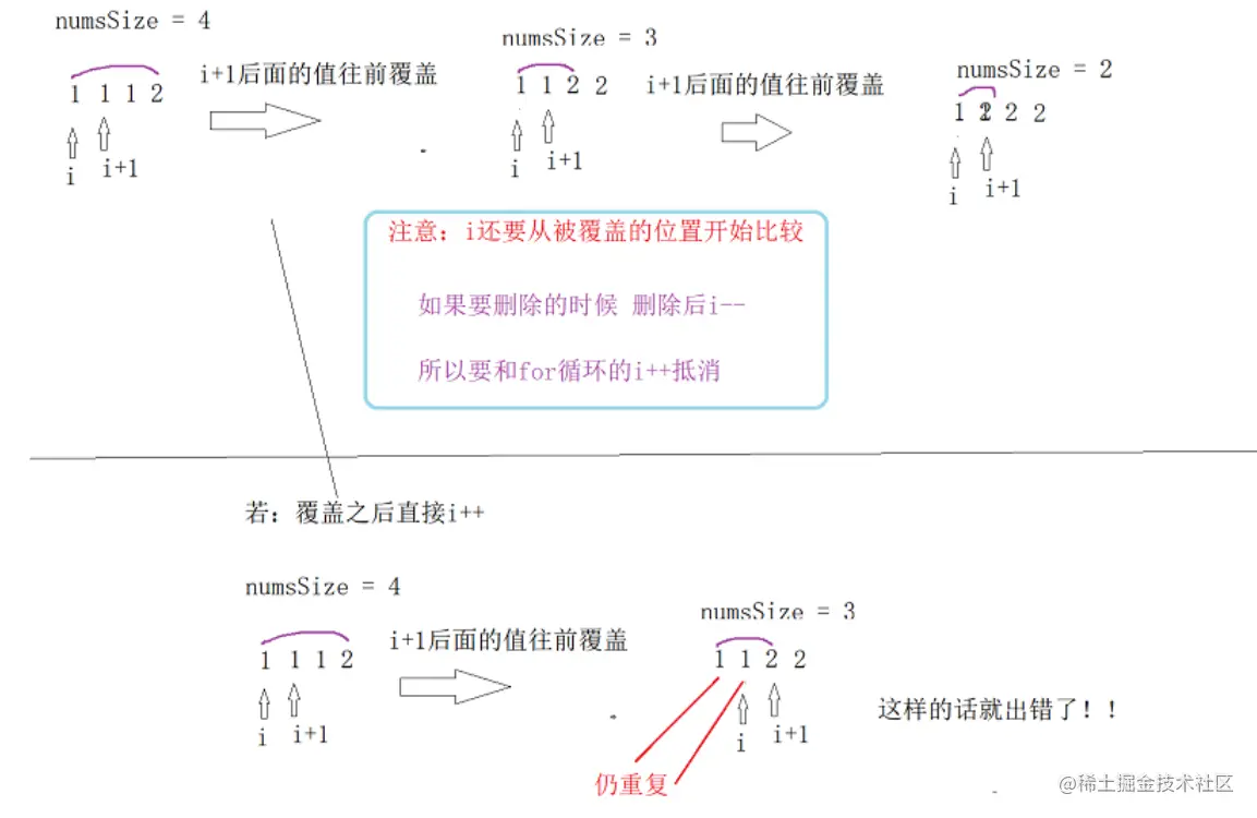 image-20220209215424271