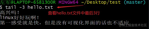 查看文件最后n行