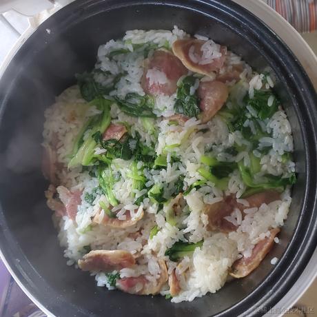 春雨春雨青蛙雨于2022-11-18 07:56发布的图片