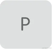 P 键