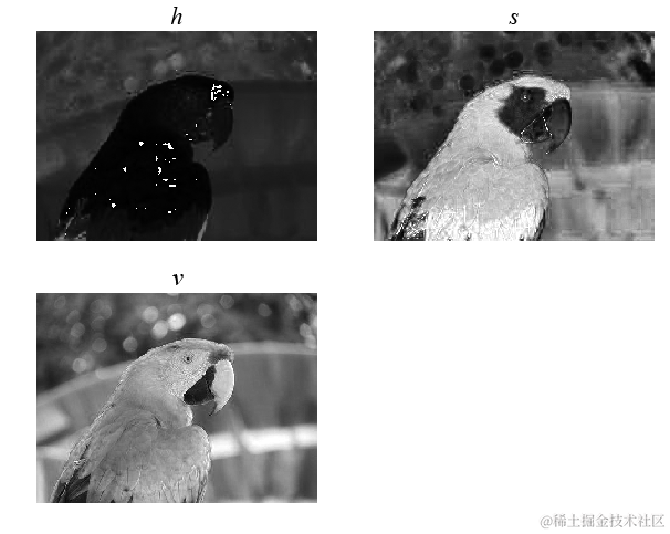 图像处理入门：如何处理不同类型的图像