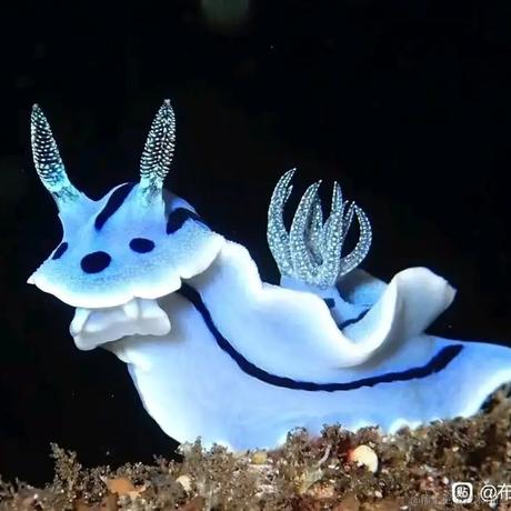 薄言于2022-12-06 06:31发布的图片