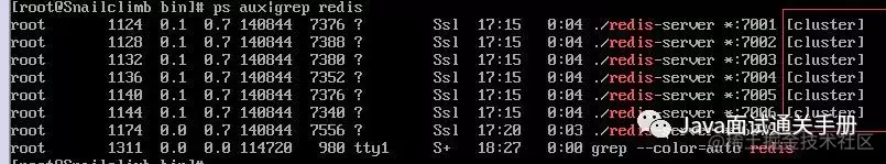 一文轻松搞懂redis集群原理及搭建与使用