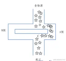最终蚁群爬行路线