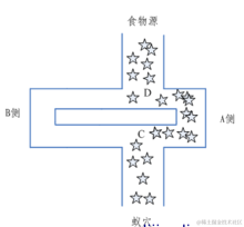 最终蚁群爬行路线