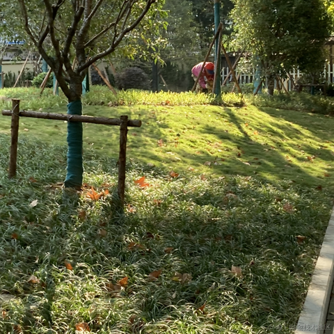 Cindy于2022-11-11 09:25发布的图片