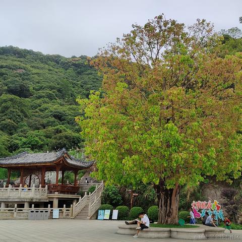 小绵羊呀于2023-05-04 08:58发布的图片