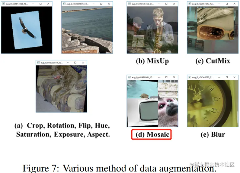 不同数据增强方法效果的可视化