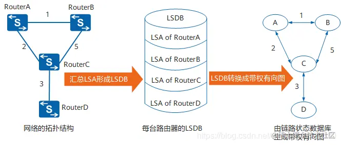 超详细的OSPF协议详解！OSPF的特点OSPF的运行机