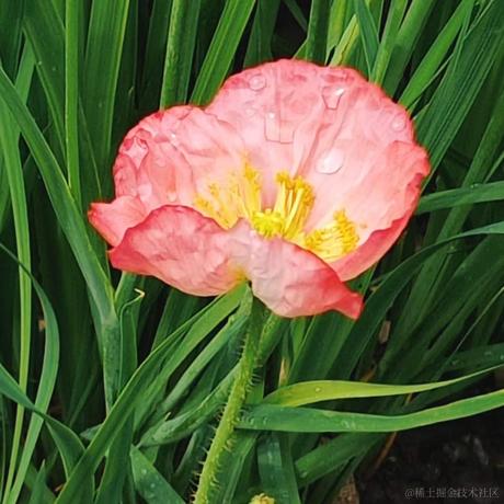 无趣的汽水于2023-05-16 16:57发布的图片