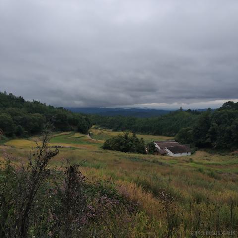 wangly19于2020-10-05 11:45发布的图片