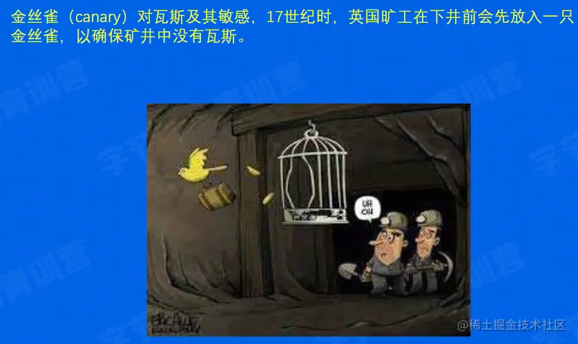 image-20220529151107617