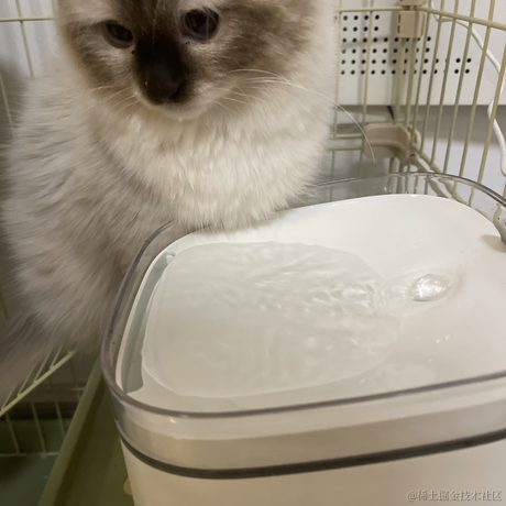 3U小吴于2022-02-17 23:46发布的图片