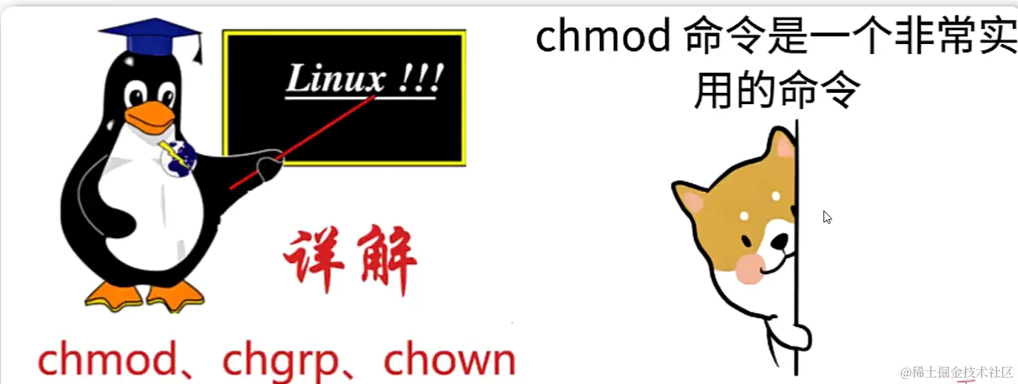 image-20240116230825844