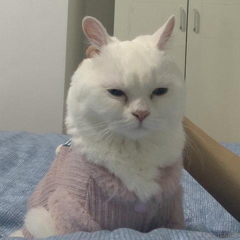 so_hhh于2021-10-28 11:26发布的图片