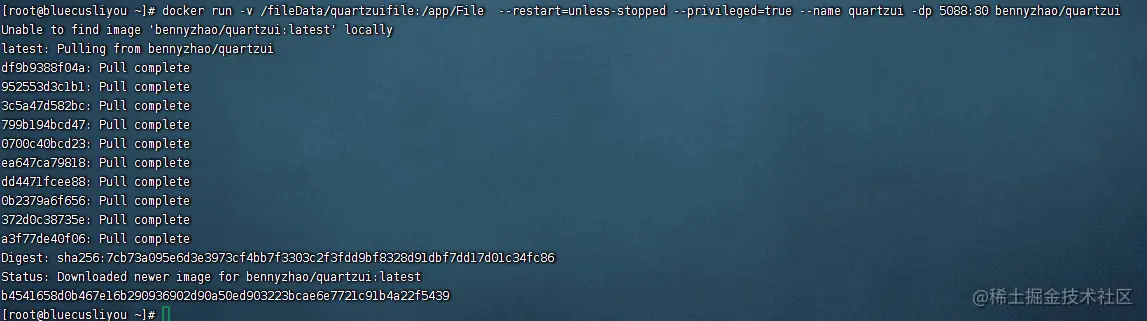 image-20220828213156709