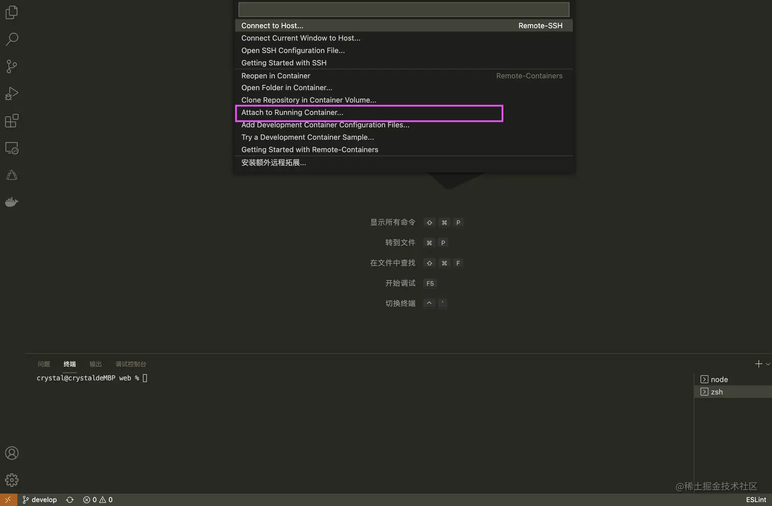 AttachtoRunningContainer..